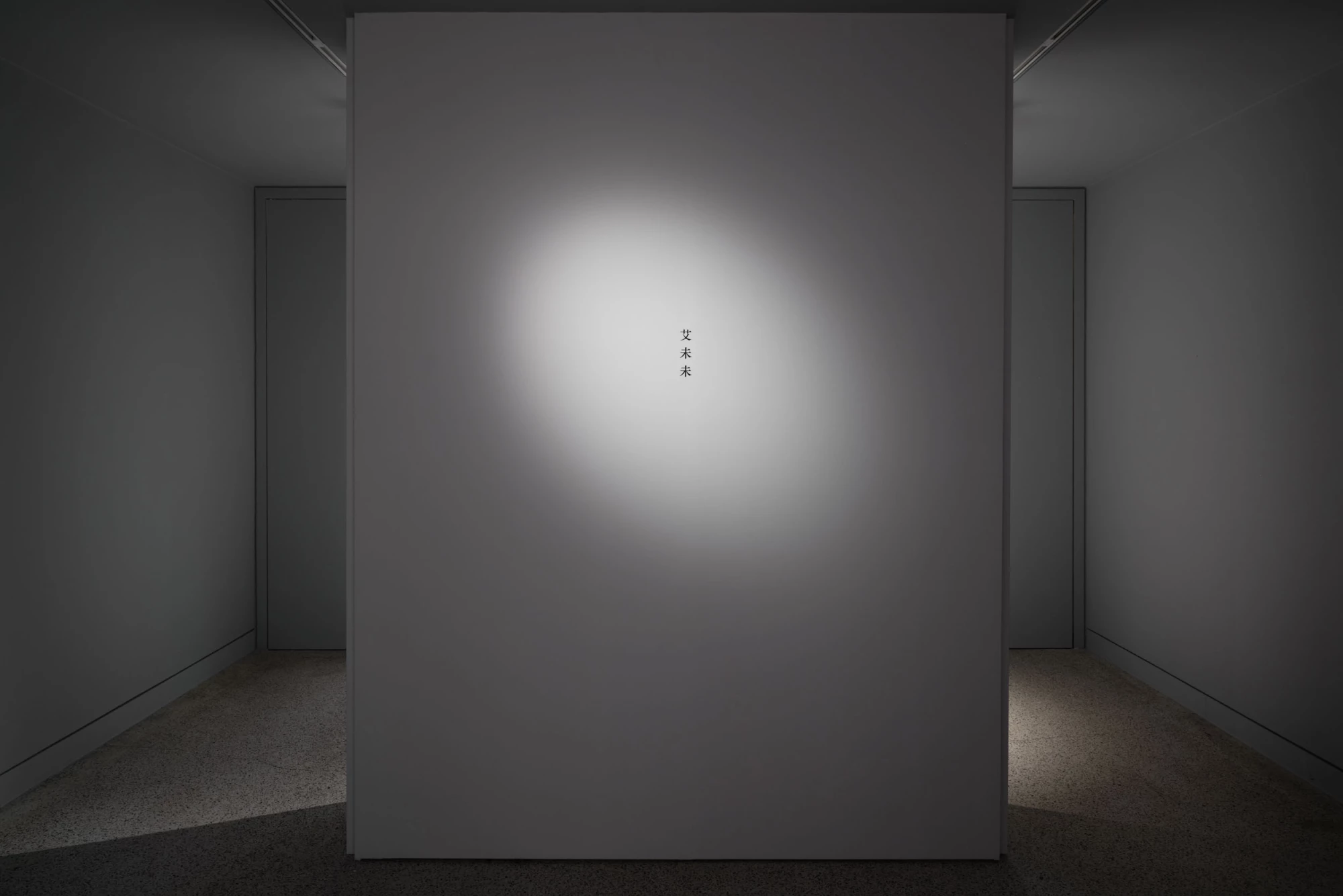 Ai Weiwei, Making Sense