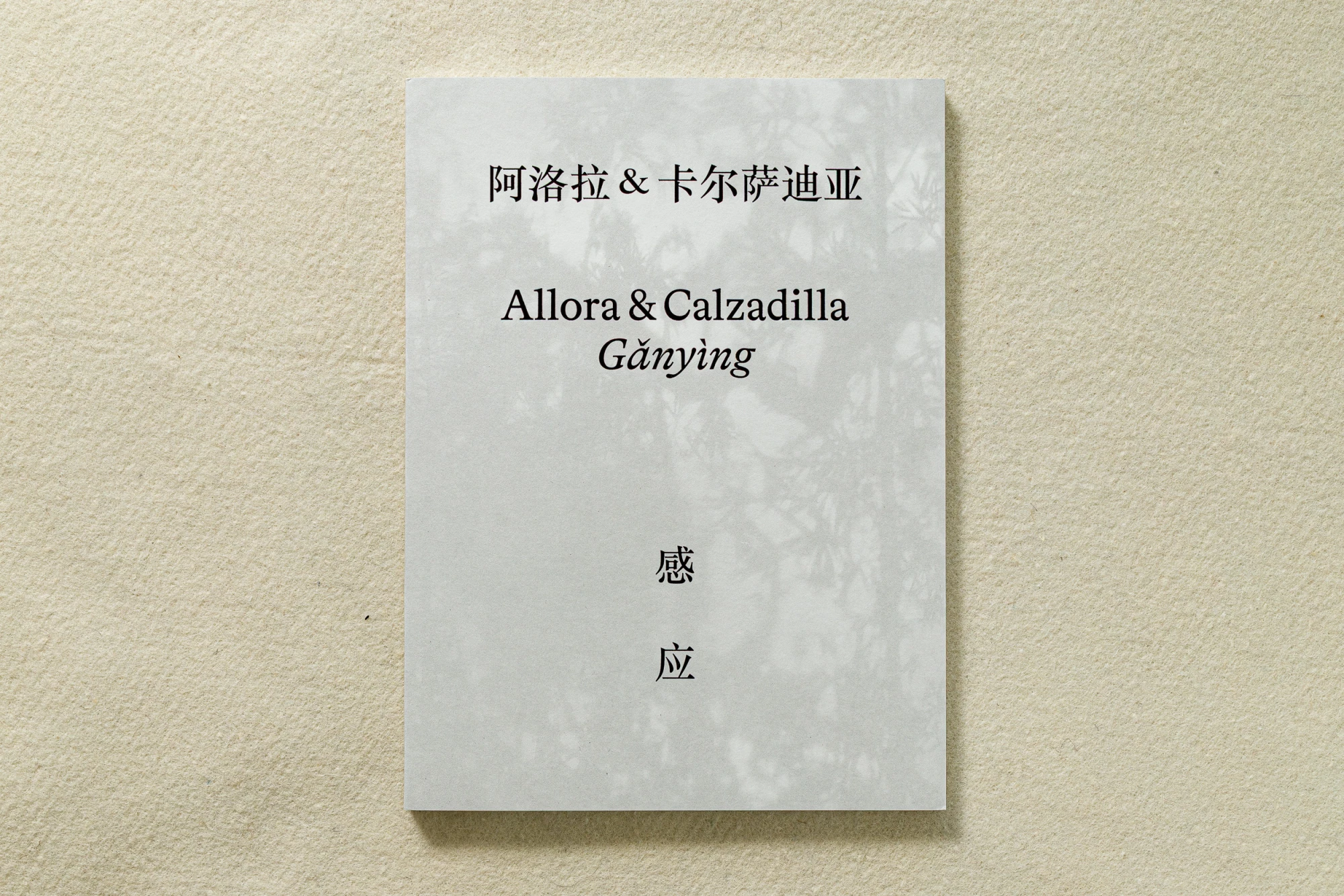 Allora & Calzadilla
