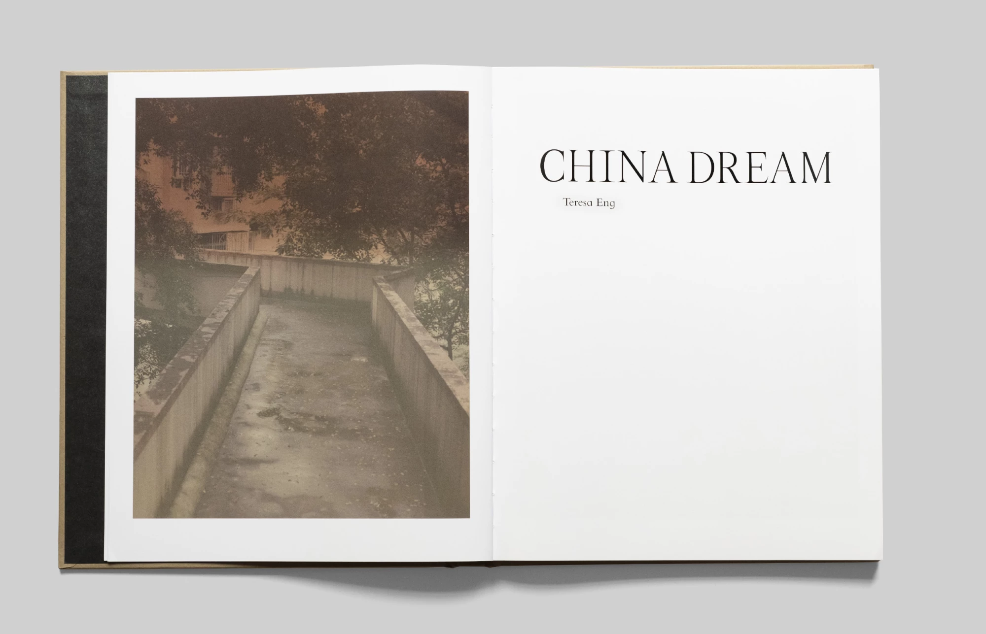 China Dream