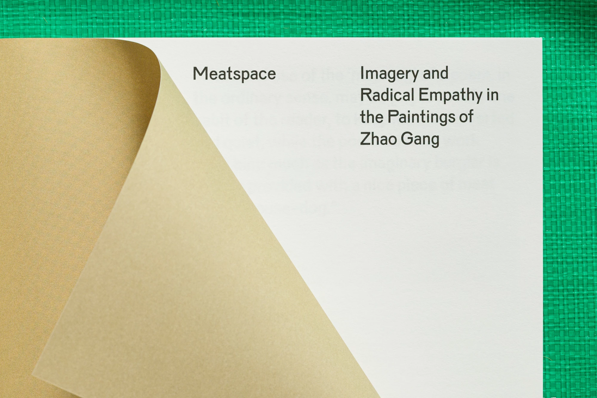 Zhao Gang